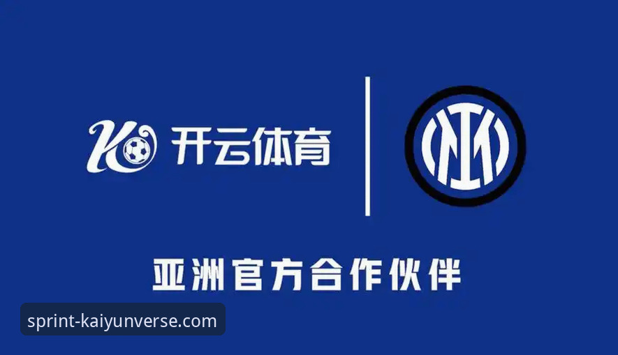 开云怎么下载安卓版 开云体育平台安卓版下载与体验详解
